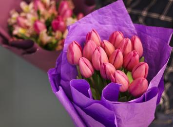 15 розовых тюльпанов цена