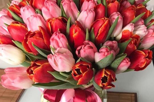Красивый букет тюльпанов