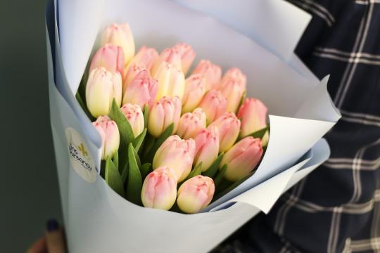 25 нежных тюльпанов цена