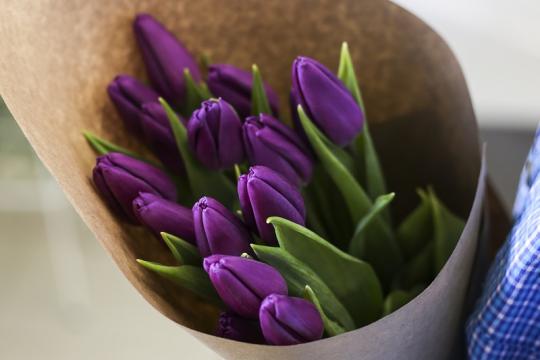 15 фиолетовых тюльпанов цена